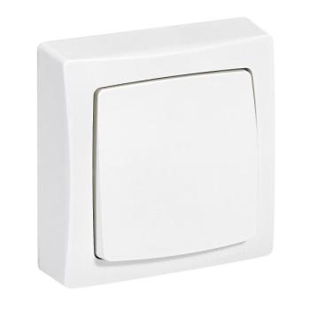  POUSSOIR SAILLIE BLANC 