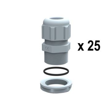  LOT 25 PE RAL 7001 ISO 12 