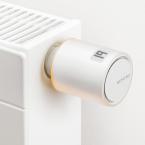  TETE THERMOSTATIQUE 