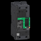  PPB 35KA TM60D 2P cosse 