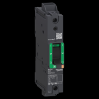  PPB 65KA TM15D 1P ever 