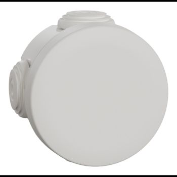  BTE DERIV EMBOUT D60 BLP 