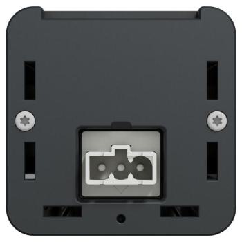  Module M 4PC+USB A+C - Anthra 