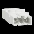  Conn MiniWieland mle droit x5 