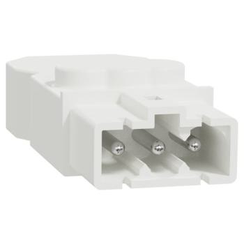  Conn MiniWieland mle droit x5 