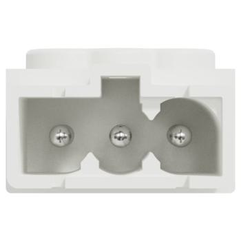  Conn MiniWieland mle droit x5 