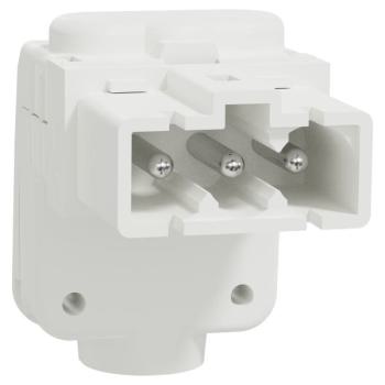  Conn MiniWieland mle coud x5 