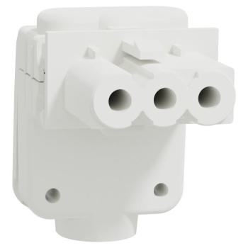  Conn MiniWieland fem coud x5 