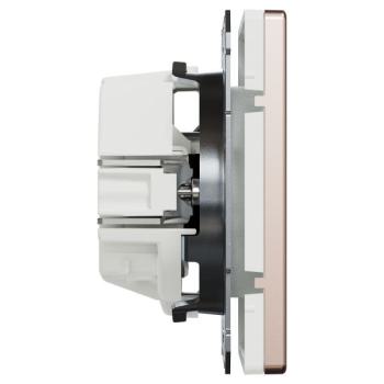  Prise de courant - Champagne 