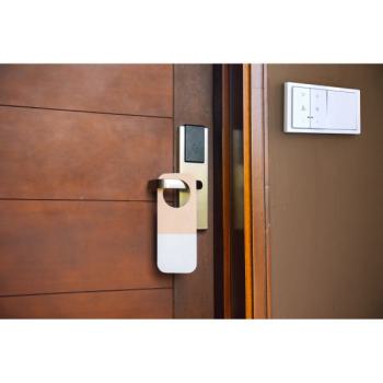  Interrupteur V&V 10A mca seul 