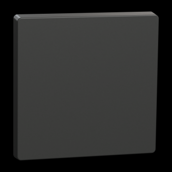  Enjoliveur Anthracite 