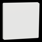  Enjoliveur blanc mat 