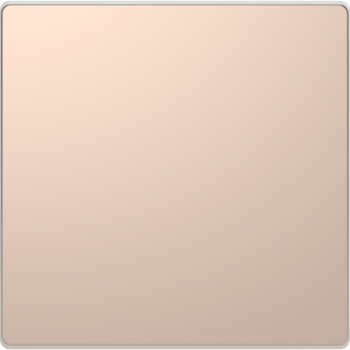  Enjo mtal couleur champagne 