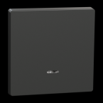  Enjo anthracite avec voyant 