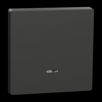  Enjo anthracite avec voyant 