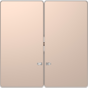  Enjo double champagne voyant 