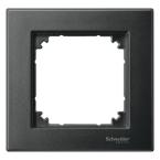  PLAQ SIMPLE PLAN ANTH 