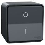  INTER BIPO. GRIS SAILLIE 