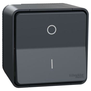  INTER BIPO. GRIS SAILLIE 