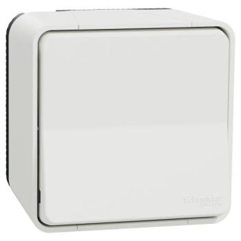  V&V BLC COMPET SAILLIE 