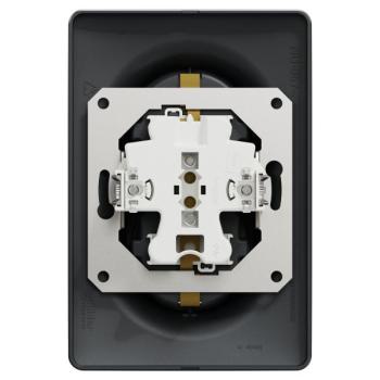  Prise 2x 2P+T DE vis Anth bo1P 