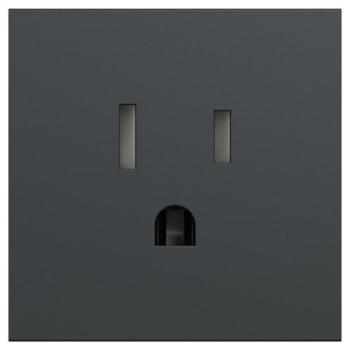  Prise std US 15A  2P+T anthra 