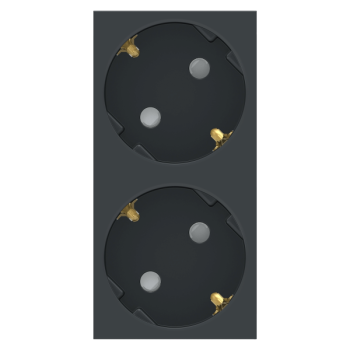  Prise 2x 2P+T DE vis Anthracit 