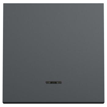  Poussoir lum local 10A 2m Anth 