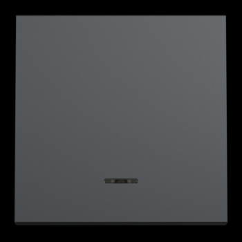  Poussoir lum local 10A 2m Anth 