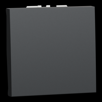  Bouton-p NO/NF 10A rap 2m Anth 