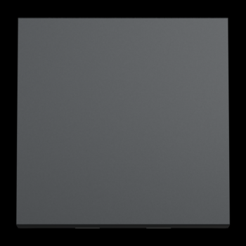  Bouton-p NO/NF 10A rap 2m Anth 