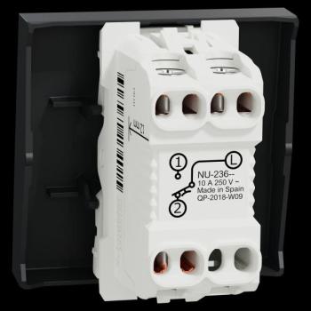  Bouton-p NO/NF 10A rap 2m Anth 