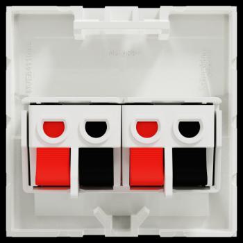  Prise HP 2 sorties 2m Blanc 