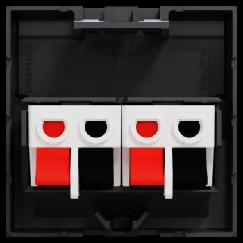  Prise HP 2 sorties 2m Anth 