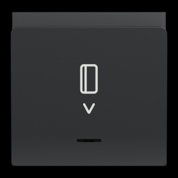  Cde  carte elect 10A 2m Anthr 
