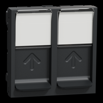  Prise 2 RJ45 S-One 2m Anth 