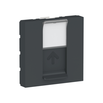  Prise 1 RJ45 Keyst/Syst 2m Ant 