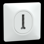  Conjoncteur tel 8P avec plaque 