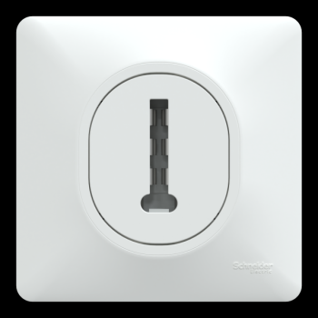 Conjoncteur tel 8P avec plaque 