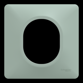  Plaque 1 poste Sauge 