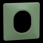  Plaque 1 poste Vert F 