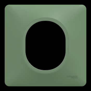 Plaque 1 poste Vert F 