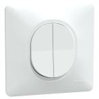  Double VV Blanc griffes plaque 