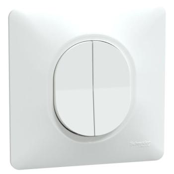  Double VV Blanc griffes plaque 