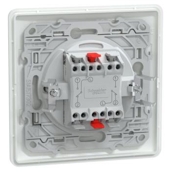  Double VV Blanc griffes plaque 