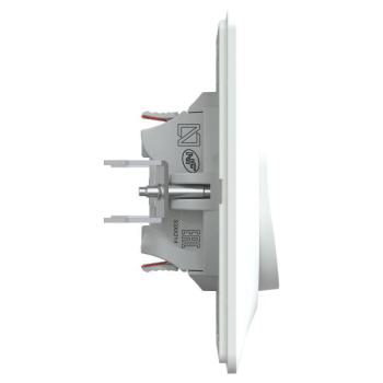  Double VV Blanc griffes plaque 