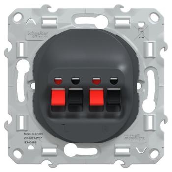  Prise HP 2 sorties Anthracite 