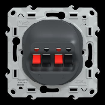  Prise HP 2 sorties Anthracite 