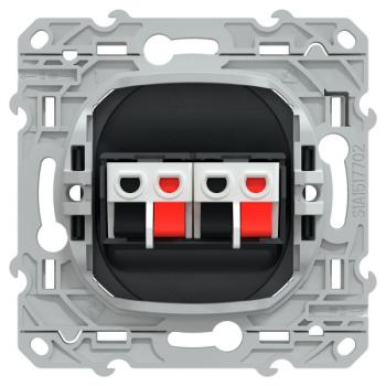  Prise HP 2 sorties Anthracite 