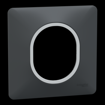  Plaque 1 poste Anth Argent C 